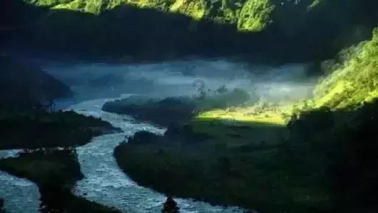 春雨直播app